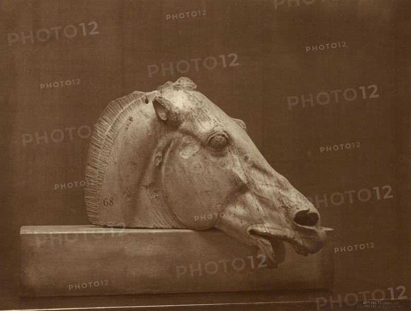 Head of a Horse from the Pediment of the Parthenon, British Museum; Adolphe Braun, French, 1811 - 1877, about 1865; Albumen