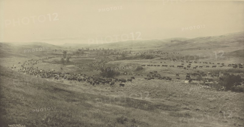 Throwing Rangers to the Roundup; Laton Alton Huffman, American, 1854 - 1931, 1907; Gravure; 39.4 x 75.7 cm