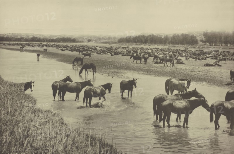 Hot Noon beside the Round-up camp; Laton Alton Huffman, American, 1854 - 1931, negative July 19, 1904; print 1907; Gravure
