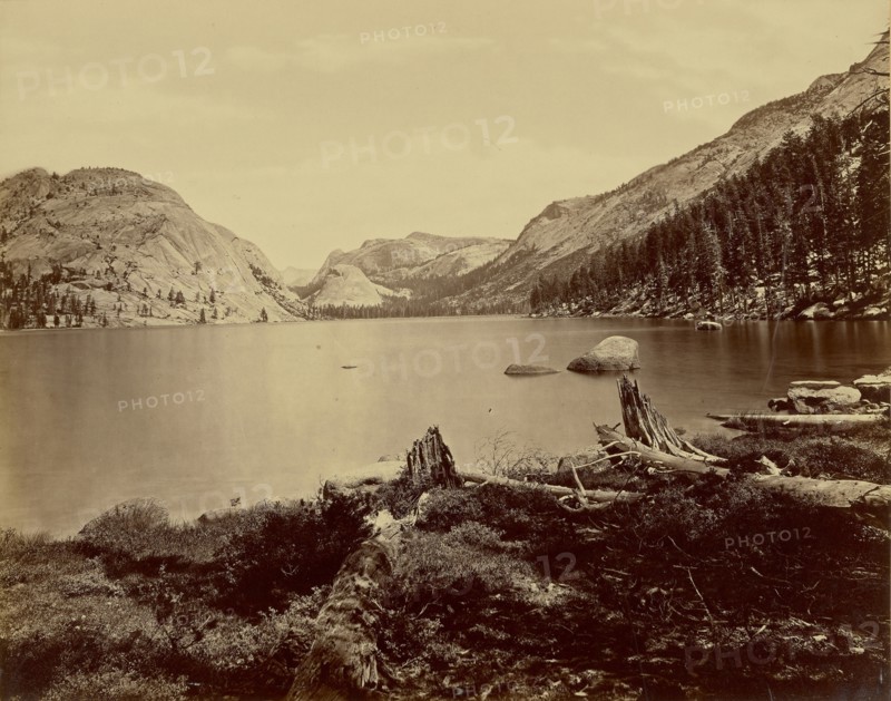 Lake Tenaya. Sierra Nevada Mountains; Eadweard J. Muybridge, American, born England, 1830 - 1904, 1872; Albumen silver print
