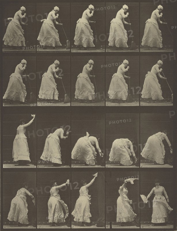 Animal Locomotion; Eadweard J. Muybridge, American, born England, 1830 - 1904, 1887; Collotype; 30.6 x 23 cm