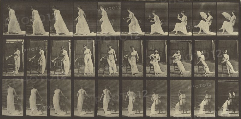 Animal Locomotion; Eadweard J. Muybridge, American, born England, 1830 - 1904, 1887; Collotype; 18.6 x 38.4 cm