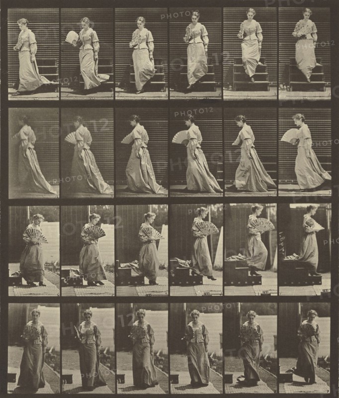 Animal Locomotion; Eadweard J. Muybridge, American, born England, 1830 - 1904, 1887; Collotype; 26.4 x 24.3 cm