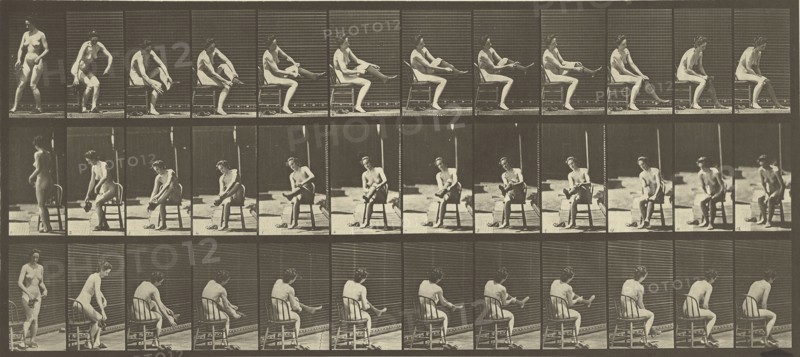 Animal Locomotion; Eadweard J. Muybridge, American, born England, 1830 - 1904, 1887; Collotype; 17.3 x 39.8 cm