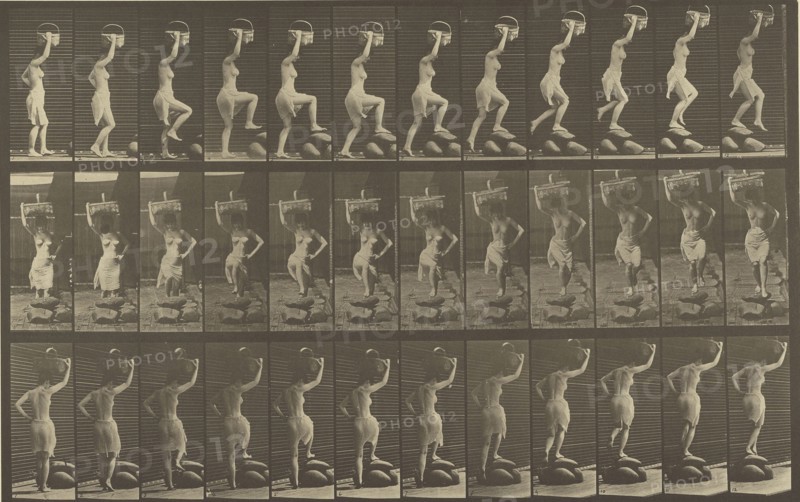 Animal Locomotion; Eadweard J. Muybridge, American, born England, 1830 - 1904, 1887; Collotype; 21.4 x 34 cm