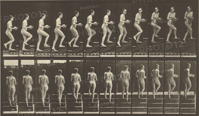Animal Locomotion; Eadweard J. Muybridge, American, born England, 1830 - 1904, 1887; Collotype; 19.7 x 34.8 cm
