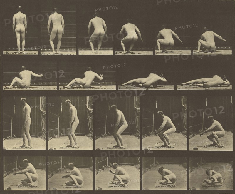 Animal Locomotion; Eadweard J. Muybridge, American, born England, 1830 - 1904, 1887; Collotype; 23.8 x 29.7 cm