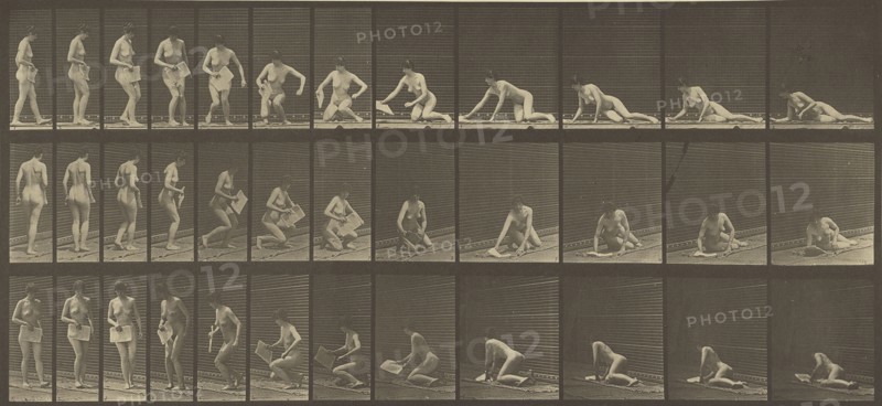 Animal Locomotion; Eadweard J. Muybridge, American, born England, 1830 - 1904, 1887; Collotype; 17.8 x 39.4 cm