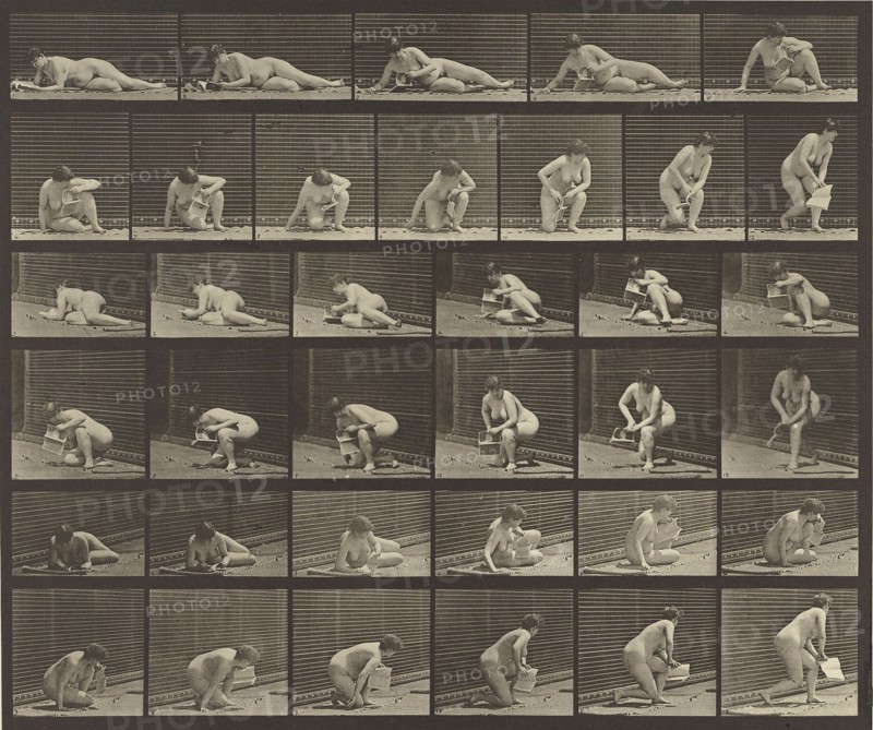 Animal Locomotion; Eadweard J. Muybridge, American, born England, 1830 - 1904, 1887; Collotype; 23.8 x 28.6 cm