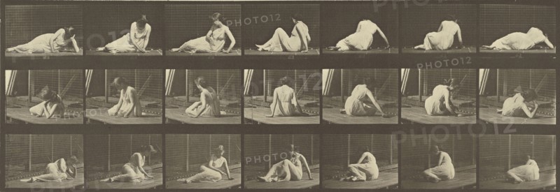 Animal Locomotion; Eadweard J. Muybridge, American, born England, 1830 - 1904, 1887; Collotype; 14.9 x 43.8 cm