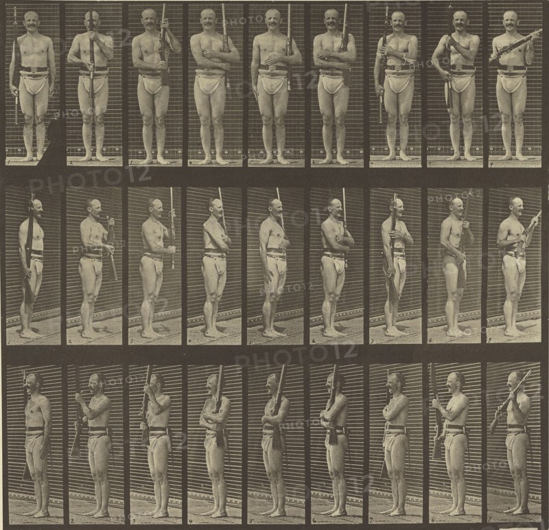 Animal Locomotion; Eadweard J. Muybridge, American, born England, 1830 - 1904, 1887; Collotype; 26.2 x 27 cm
