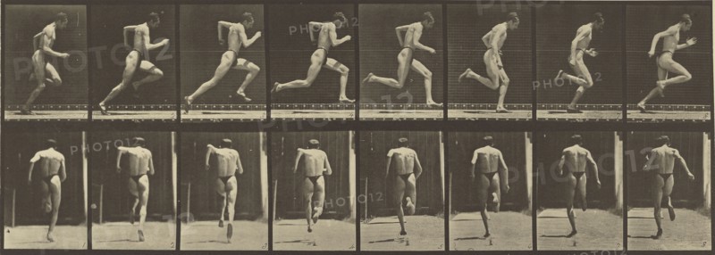 Animal Locomotion; Eadweard J. Muybridge, American, born England, 1830 - 1904, 1887; Collotype; 15.2 x 43.7 cm