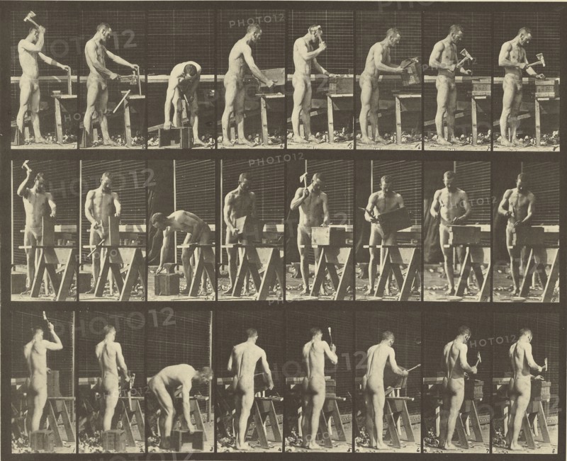 Animal Locomotion; Eadweard J. Muybridge, American, born England, 1830 - 1904, 1887; Collotype; 23.7 x 29.5 cm
