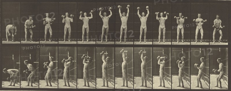 Animal Locomotion; Eadweard J. Muybridge, American, born England, 1830 - 1904, 1887; Collotype; 16.2 x 42.5 cm