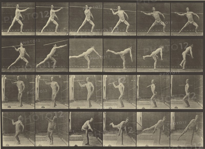 Animal Locomotion; Eadweard J. Muybridge, American, born England, 1830 - 1904, 1887; Collotype; 22.4 x 31.3 cm
