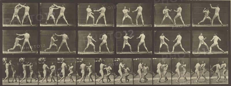 Animal Locomotion; Eadweard J. Muybridge, American, born England, 1830 - 1904, 1887; Collotype; 16.2 x 44.8 cm