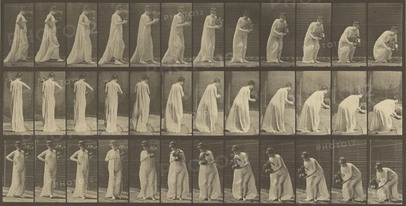 Animal Locomotion; Eadweard J. Muybridge, American, born England, 1830 - 1904, 1887; Collotype; 18.4 x 36.8 cm