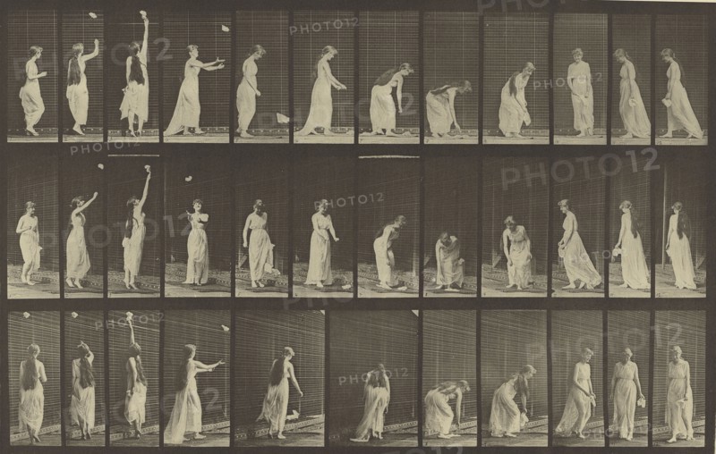 Animal Locomotion; Eadweard J. Muybridge, American, born England, 1830 - 1904, 1887; Collotype; 21.1 x 33.8 cm