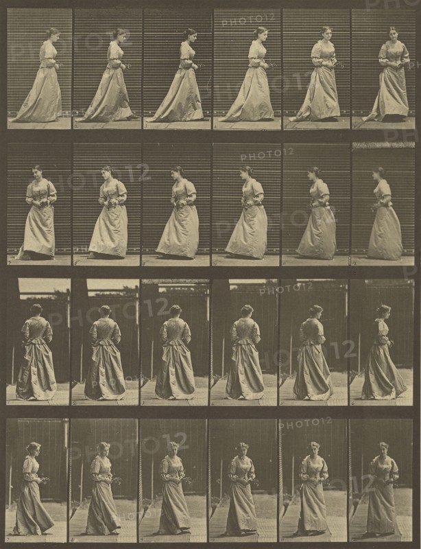 Animal Locomotion; Eadweard J. Muybridge, American, born England, 1830 - 1904, 1887; Collotype; 31.8 x 24.3 cm