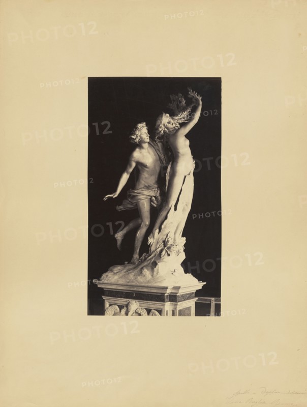Bernini's Apollo and Daphne; James Anderson, British, 1813 - 1877, Rome, Italy; about 1845 - 1855; Albumen silver print