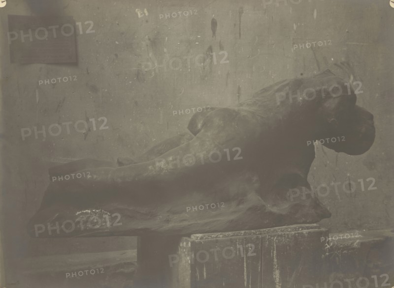 The Earth; Eugène Druet, French, 1868 - 1917, and Auguste Rodin, French, 1840 - 1917, about 1900; Gelatin silver print