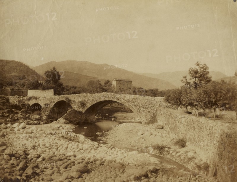 Bridge on the River; André Giroux, French, 1801 - 1879, about 1855; Albumen silver print from a collodion glass negative