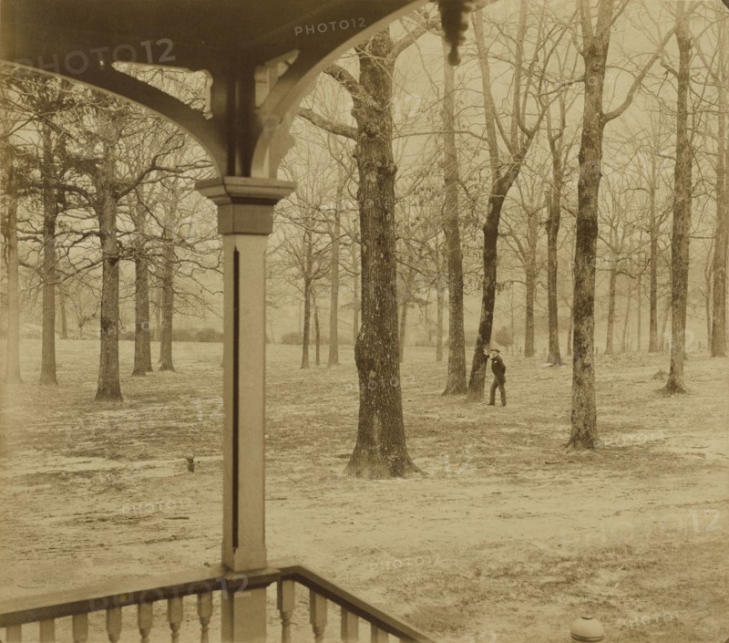 Landscape with Portrait of Alfred R. Waud; Jay Dearborn Edwards, American, 1831 - 1900, about 1891; Albumen silver print