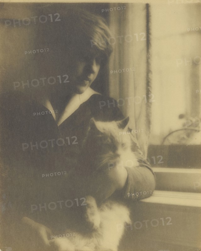 Portrait of a Woman Posed with a Cat Near a Window; Clarence H. White, American, 1871 - 1925, 1918 - 1920; Toned gelatin silver