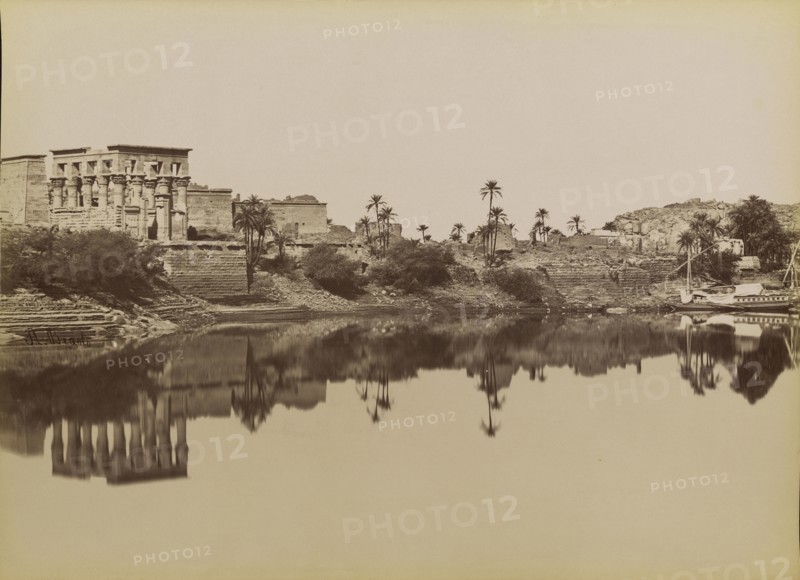 West View of Philae , Phile, Vue d'Ouest; Antonio Beato, English, born Italy, about 1835 - 1906, 1880 - 1889; Albumen silver