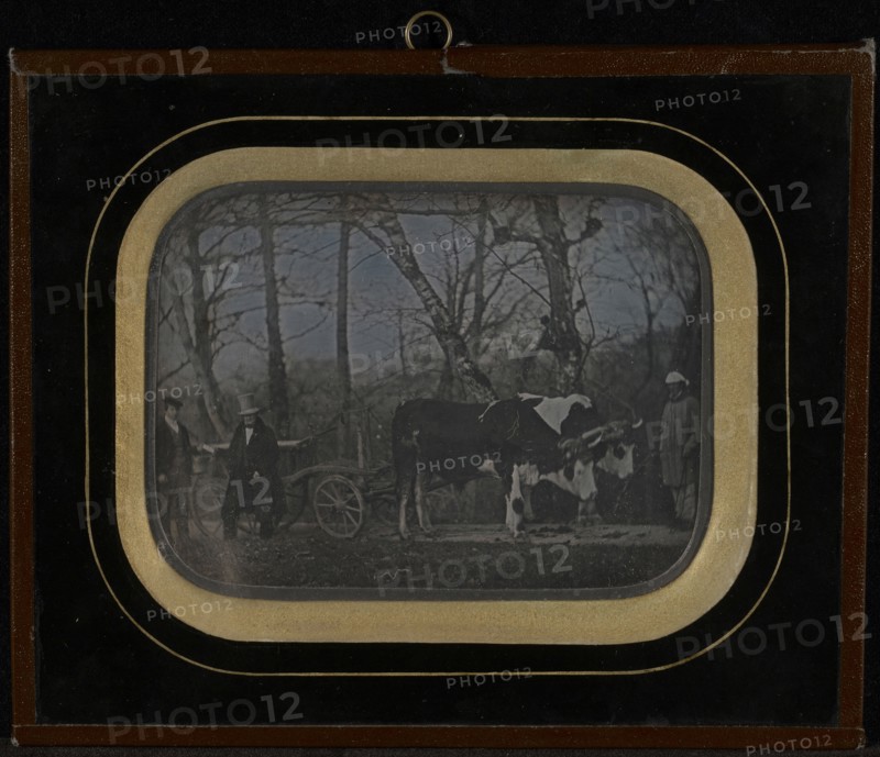 Jean-Gabriel Eynard with two servants and an ox-drawn wagon; Jean-Gabriel Eynard, Swiss, 1775 - 1863, about 1850; Daguerreotype