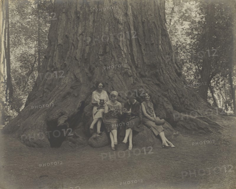 Women with Cameras at the Base of a Tree; Louis Fleckenstein, American, 1866 - 1943, about 1900; Gelatin silver print