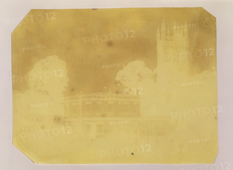 Botanical Garden, Oxford; William Henry Fox Talbot, English, 1800 - 1877, 1842; Paper negative, iodide fixed; 15.7 × 20.8 cm