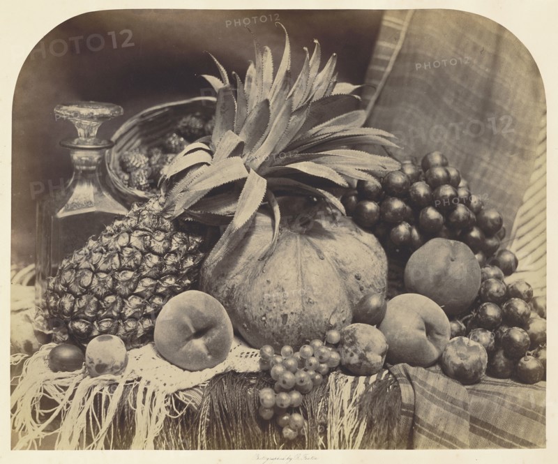 Still Life with Fruit and Decanter; Roger Fenton, English, 1819 - 1869, London, England; 1860; Albumen silver print