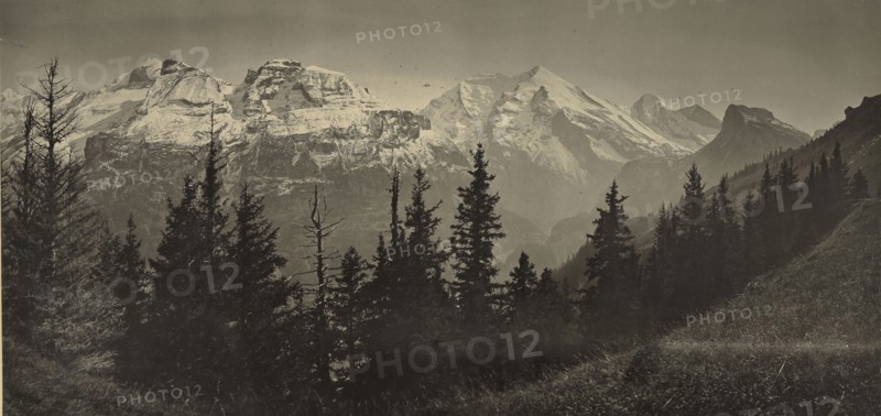 Alpine Landscape; Adolphe Braun, French, 1811 - 1877, 1865 - 1870; Carbon print; 22.2 x 46.8 cm 8 3,4 x 18 7,16 in
