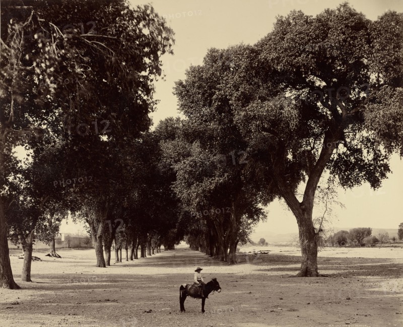 Calle de Guadeloupe, Chihuahua, Mexico; William Henry Jackson, American, 1843 - 1942, about 1880; Albumen silver print