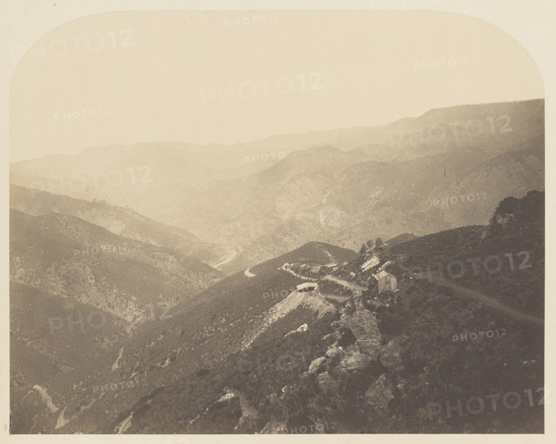 Pine Tree Mine; Carleton Watkins, American, 1829 - 1916, 1860; Salted paper print; 31.4 x 39.5 cm 12 3,8 x 15 9,16 in