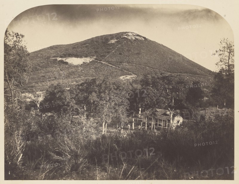 Mt. Ophir; Carleton Watkins, American, 1829 - 1916, 1860; Salted paper print; 31.4 x 41.1 cm 12 3,8 x 16 3,16 in