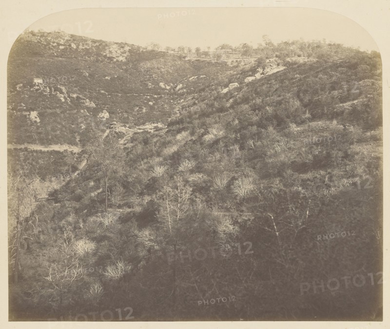 Josephine Mine; Carleton Watkins, American, 1829 - 1916, 1860; Salted paper print; 34.4 x 41.3 cm 13 9,16 x 16 1,4 in