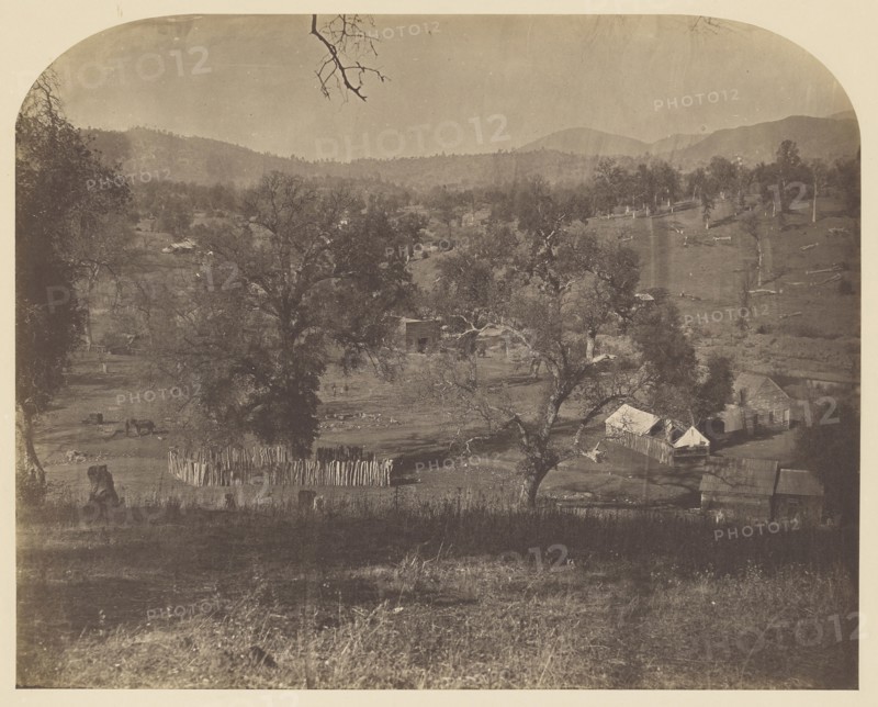 Bridgeport - East; Carleton Watkins, American, 1829 - 1916, 1860; Salted paper print; 33.2 x 41.3 cm 13 1,16 x 16 1,4 in