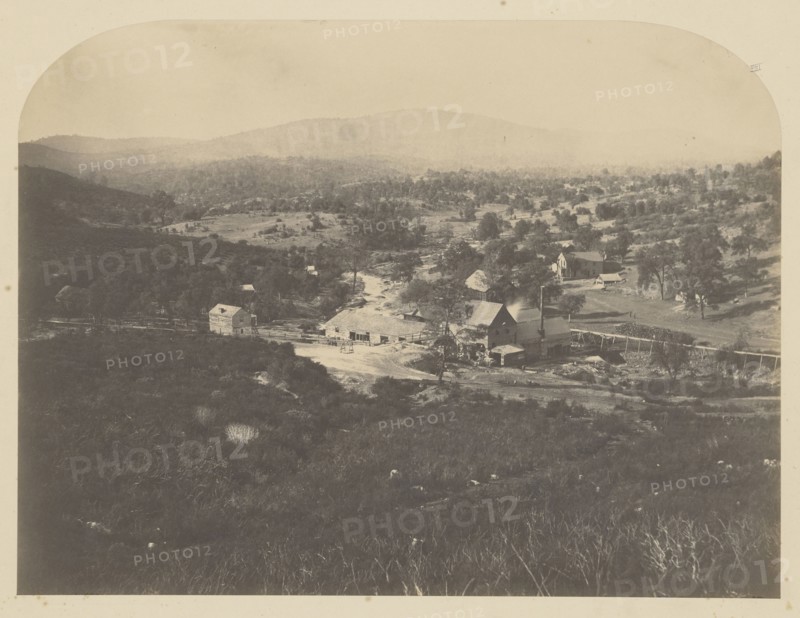 Mt. Ophir - North; Carleton Watkins, American, 1829 - 1916, 1860; Salted paper print; 31.4 x 41.6 cm 12 3,8 x 16 3,8 in