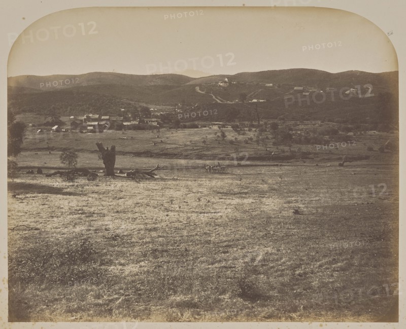 Princeton - West , Princeton, looking West; Carleton Watkins, American, 1829 - 1916, 1860; Salted paper print; 34 × 42.2 cm