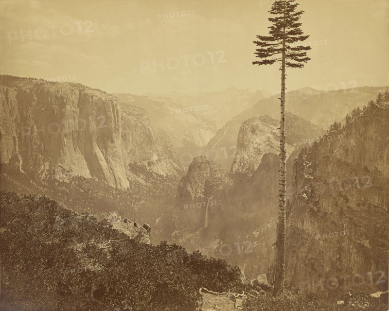 Yosemite Valley from Mariposa Trail; Carleton Watkins, American, 1829 - 1916, Yosemite, California, Mariposa County, United