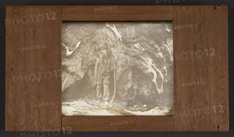 Mariposa Grove. Galen Clark. , Portrait of Galen Clark; Carleton Watkins, American, 1829 - 1916, 1861; Direct positive