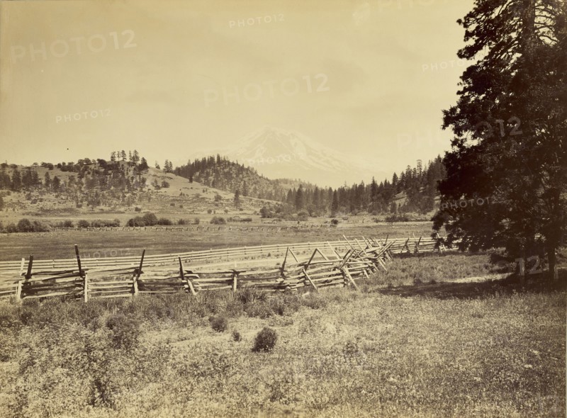 View of Mt. Shasta; Carleton Watkins, American, 1829 - 1916, Mt. Shasta, California, United States; 1870; Albumen silver print