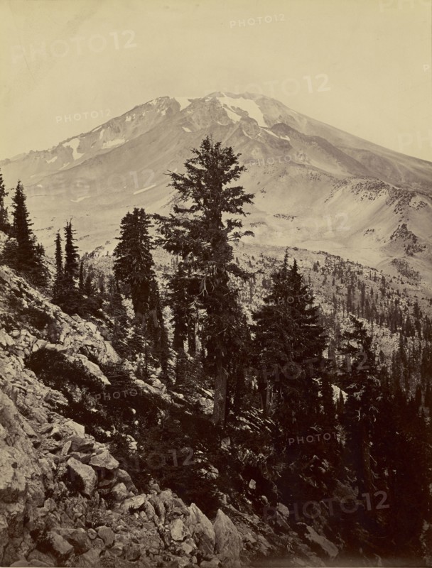 Williamsonii, Mt. Shasta; Carleton Watkins, American, 1829 - 1916, 1867 - 1870; Albumen silver print