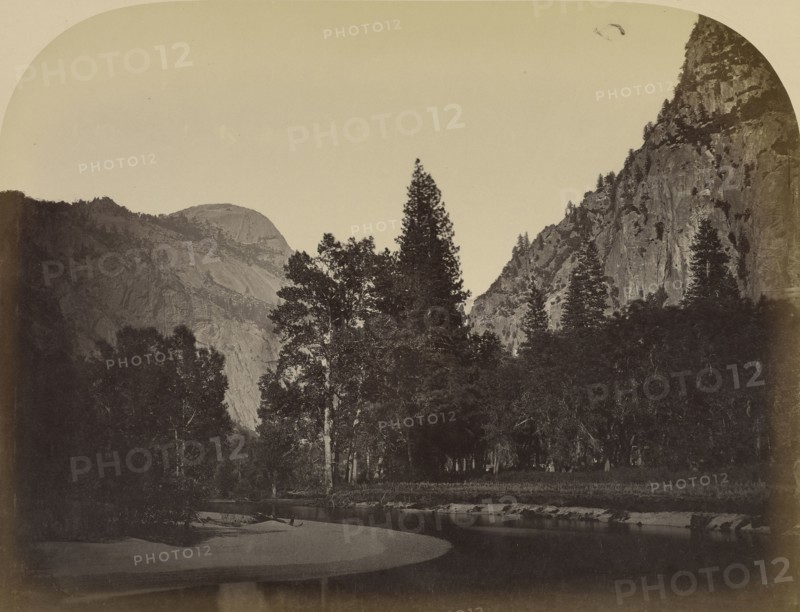 Camp Grove - Yo Semite; Carleton Watkins, American, 1829 - 1916, Yosemite, California, United States; 1861; Albumen silver