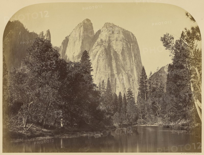 River View - Cathedral Rocks; Carleton Watkins, American, 1829 - 1916, Yosemite, California, United States; 1861; Albumen