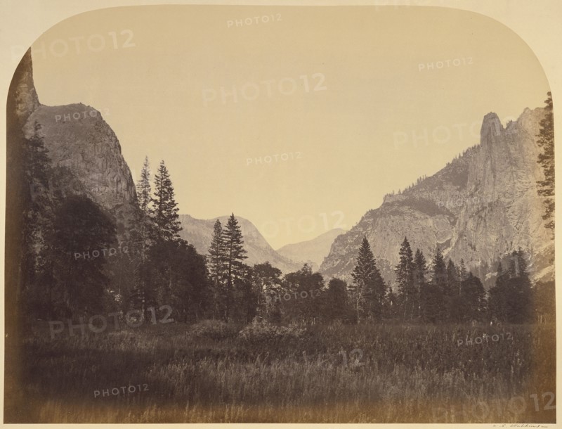 Up the Valley - Yo Semite; Carleton Watkins, American, 1829 - 1916, Yosemite, California, United States; 1861; Albumen silver