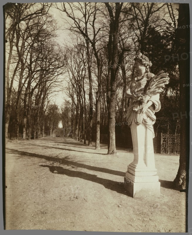 The Park, Versailles; Eugène Atget, French, 1857 - 1927, Paris, France; 1920; Albumen silver print