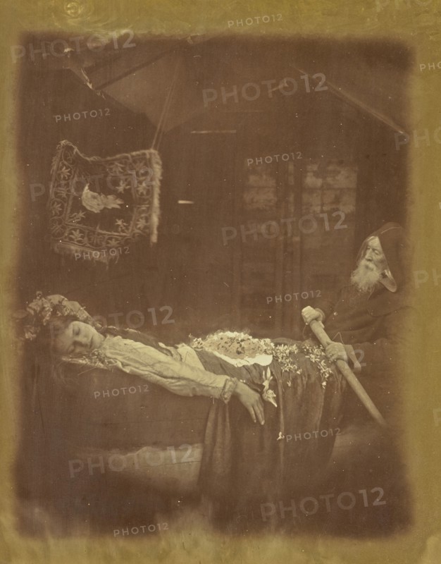Elaine; Julia Margaret Cameron, British, born India, 1815 - 1879, Freshwater, Isle of Wight, England; 1875; Albumen silver